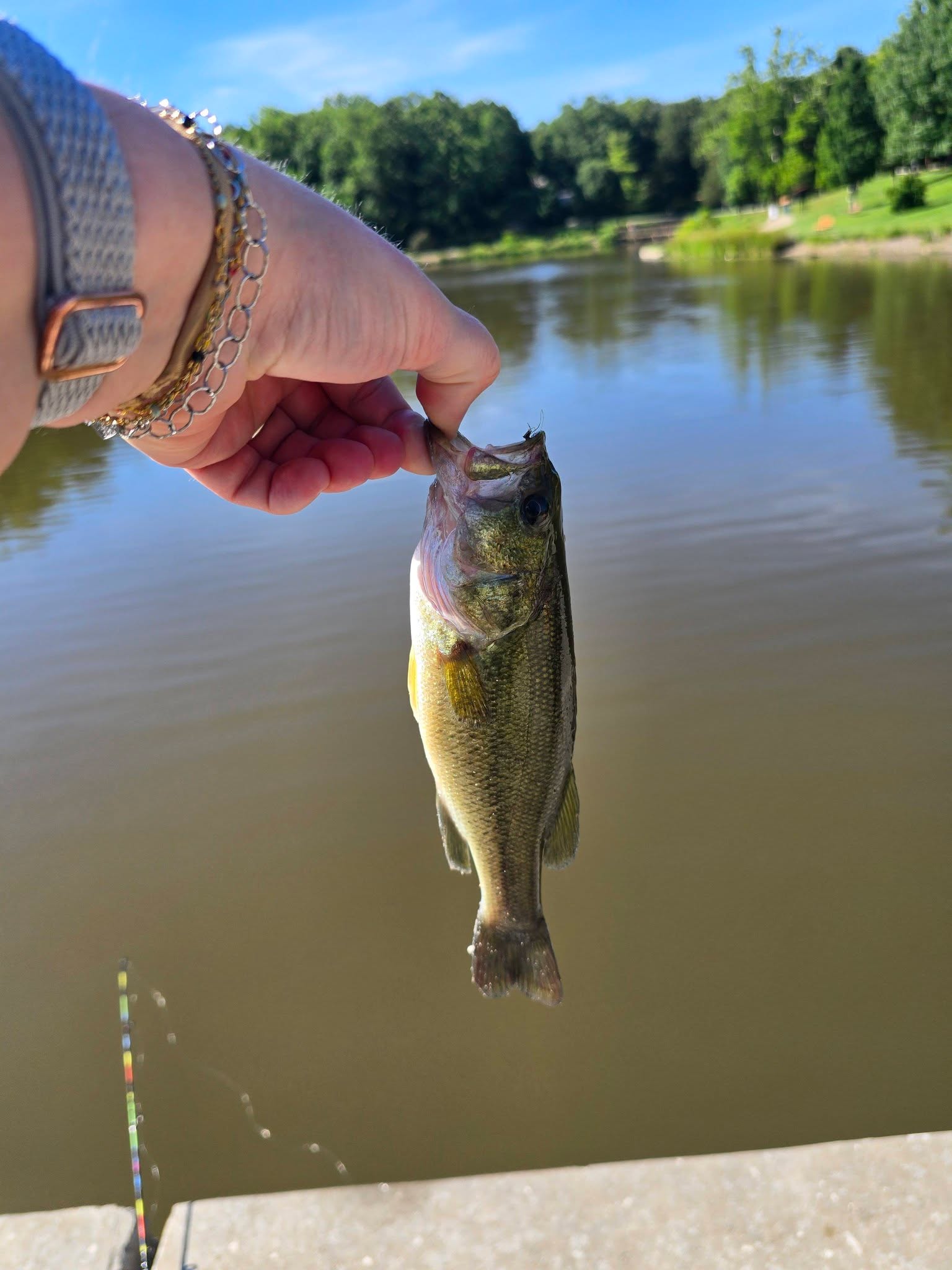 When you catch 3 decent fish on your 8-year-old child's fishing pole. I think Seamus was impressed that I reeled them in without breaking Liam's stuff. 😆 🤣